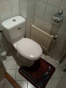 Renovatie-toilet-B1