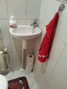 Renovatie-toilet-B2-225x300