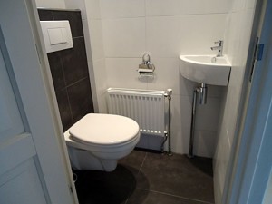 Renovatie-toilet-B4